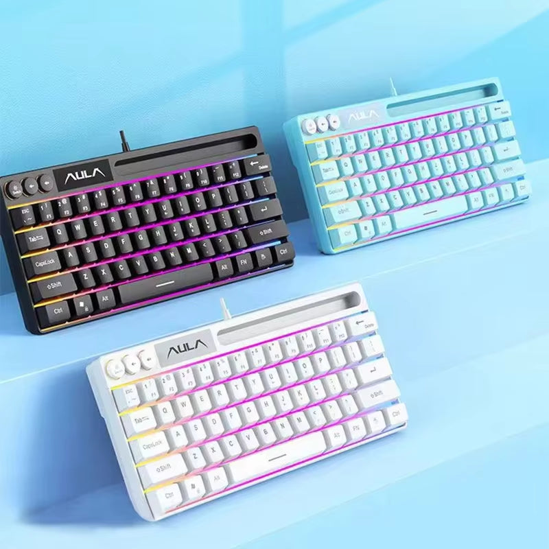 F3061 Wired Keyboard Mini Keyboard Office and Home RGB Backlit Keyboard Desktop Computer Laptop and Gaming Keyboard
