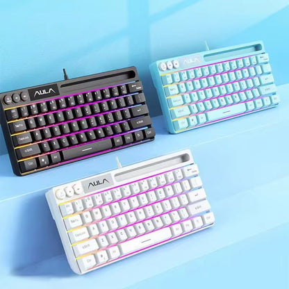 F3061 Wired Keyboard Mini Keyboard Office and Home RGB Backlit Keyboard Desktop Computer Laptop and Gaming Keyboard